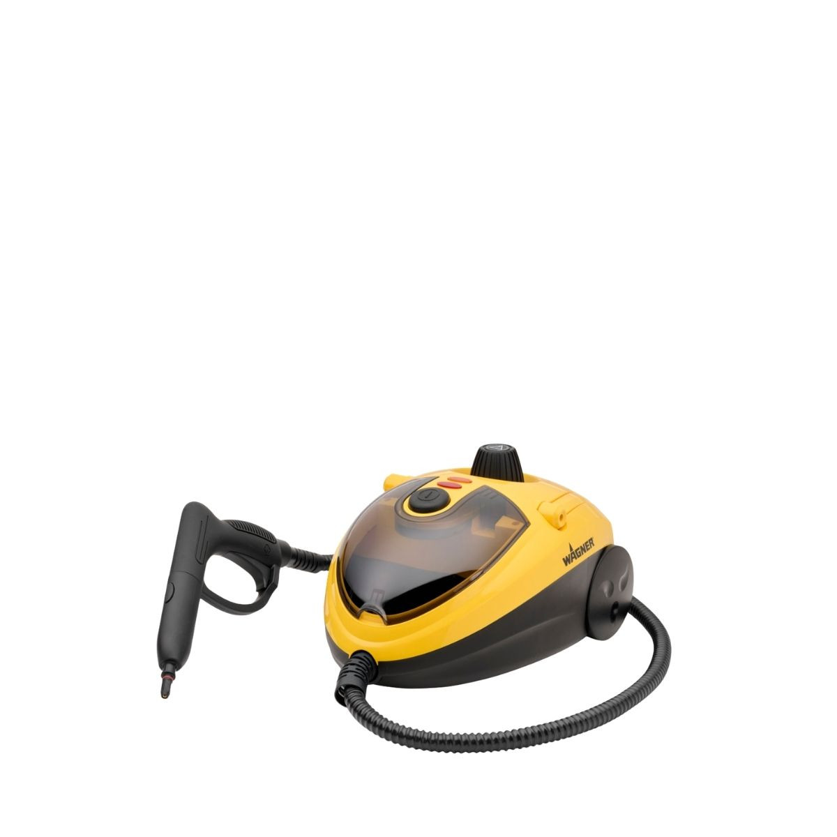 Dampfreiniger
